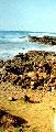124